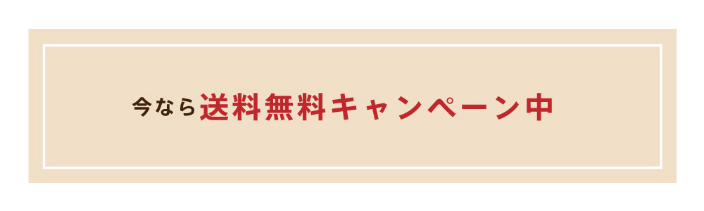 今なら送料無料キャンペーン中
